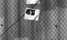 新闻诡异爆料最新视频,新闻诡异爆料背后的惊人真相